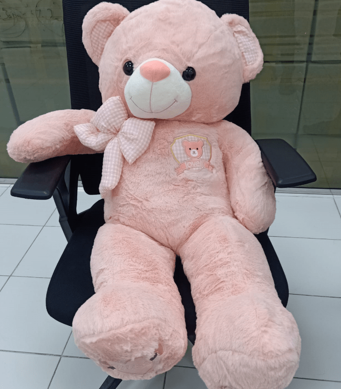 Cute Stuffed Teddy Bear (95cm) ©