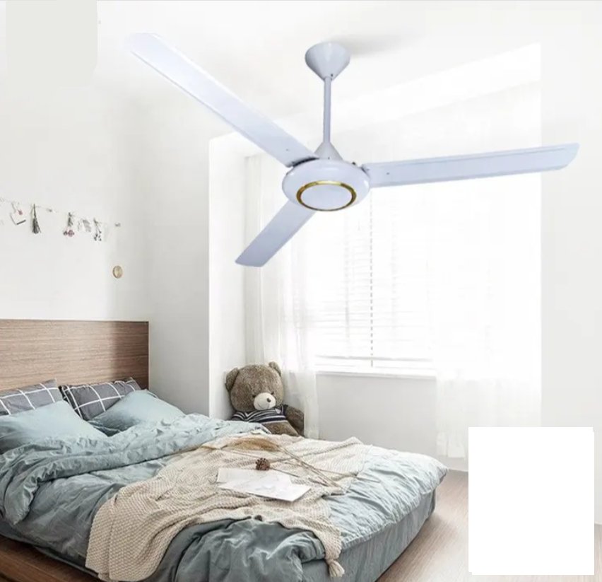 Electric Ceiling Fan ©