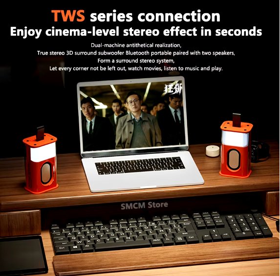 Mini Wireless Loudspeaker