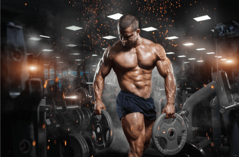 NP Nutrition - L-Glutamin & BCAA (Original)