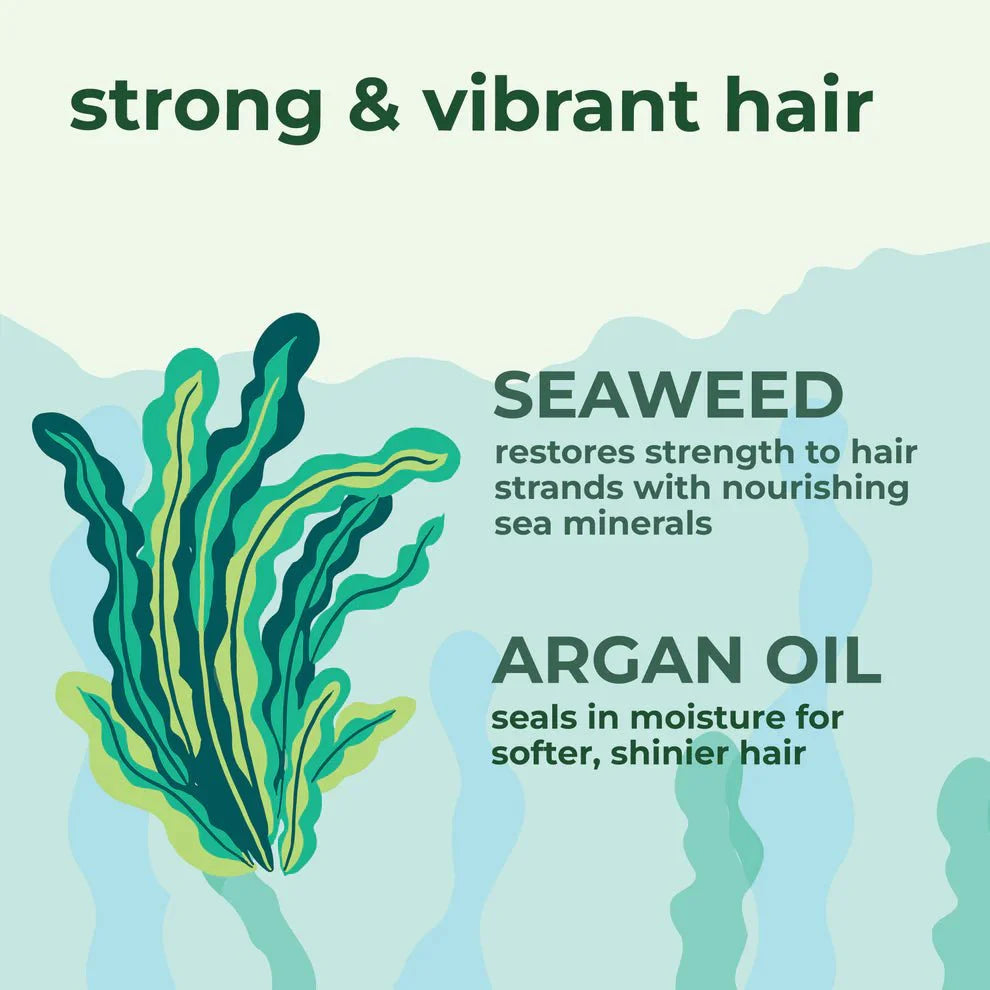 Seaweed & Argan Oil