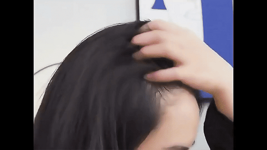 Natural Darkening Polygonum Hair Soap (Original)