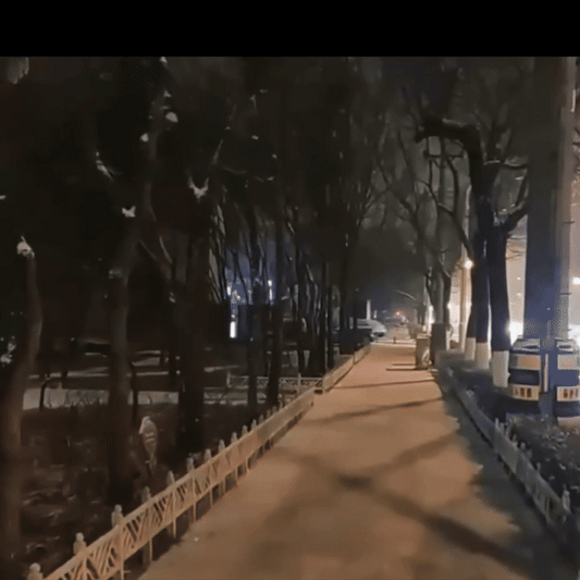 Portable Body Camera