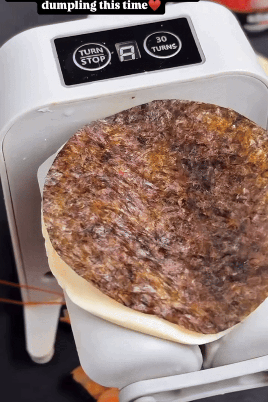 Electric Dumpling Machine