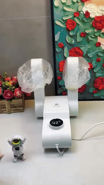 Shoe Dryer