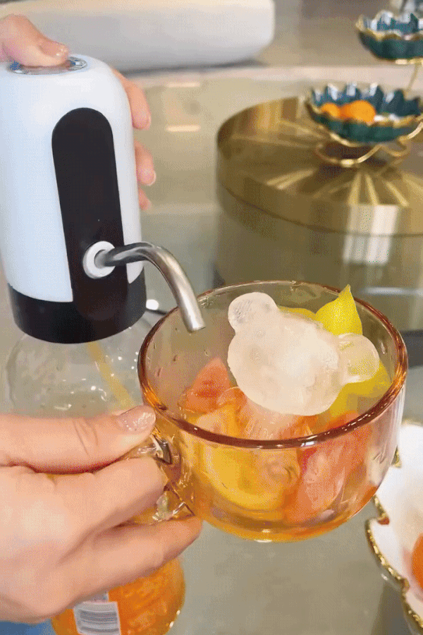 Electric Portable Water Dispenser Pump