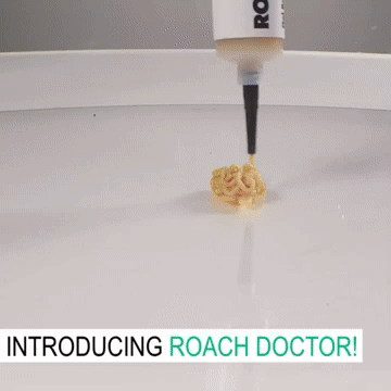 Cockroach Killing Gel