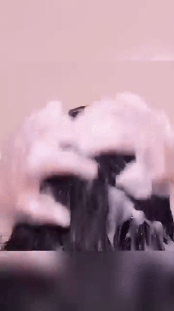 Ginger Black Hair Shampoo