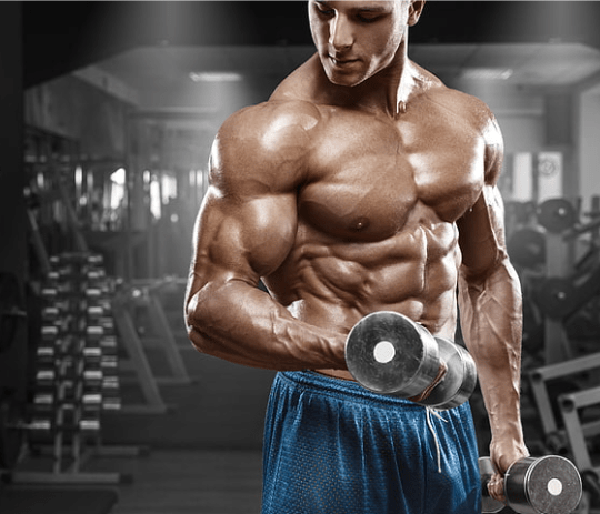 Artubol – B-Complex (Original) ©