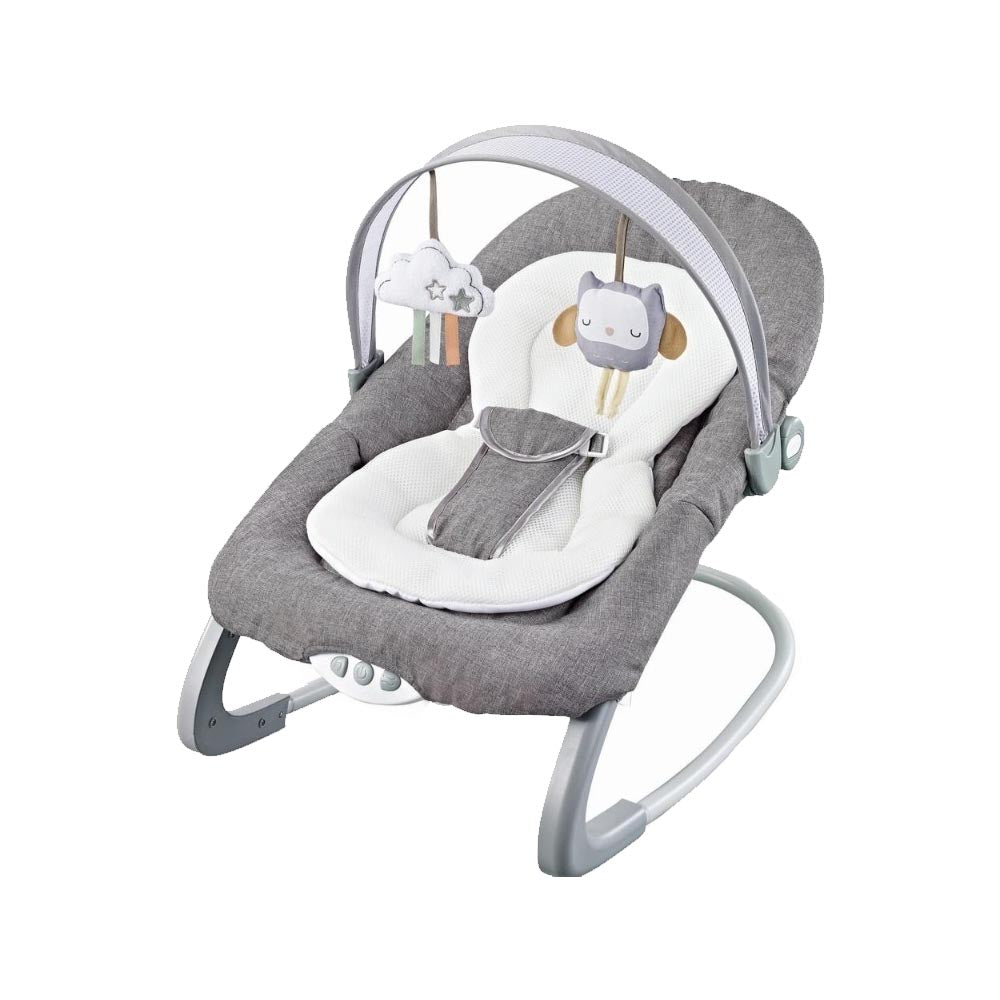 Baby Rocker & Swing Chair