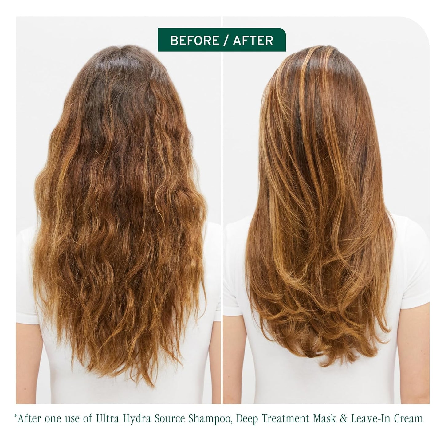 Biolage - Hair Shampooing & Conditioner (Original)