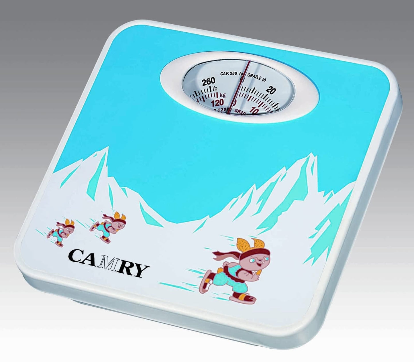 Camry -  Portable Weight Machine