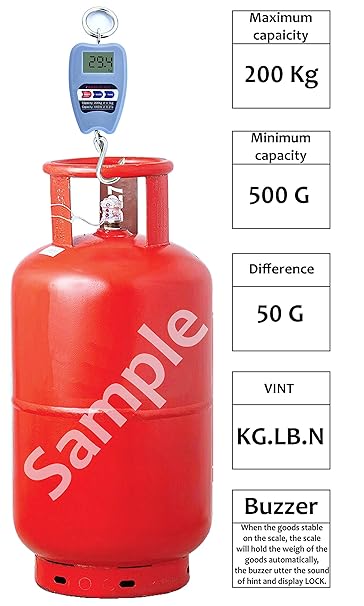 Compact Digital Hanging Scale