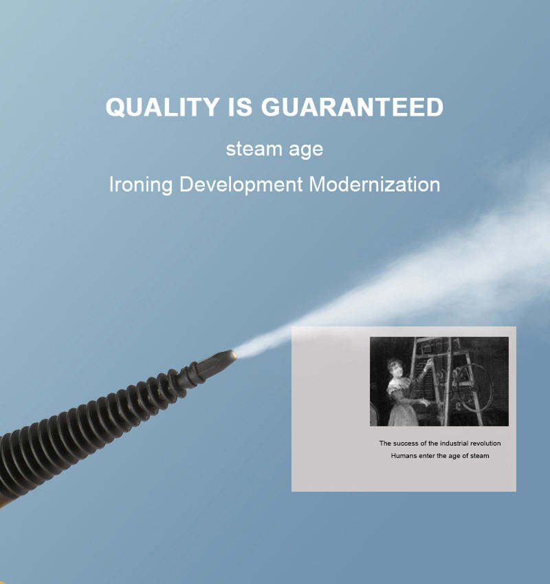 DF - Steam Cleaner (DF-A001)