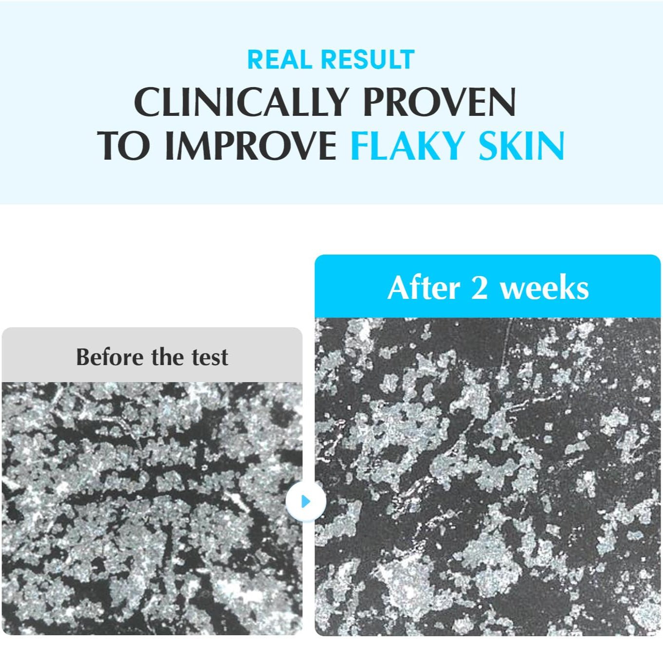 EQQUALBERRY - Swimming Pool Toner (Original)