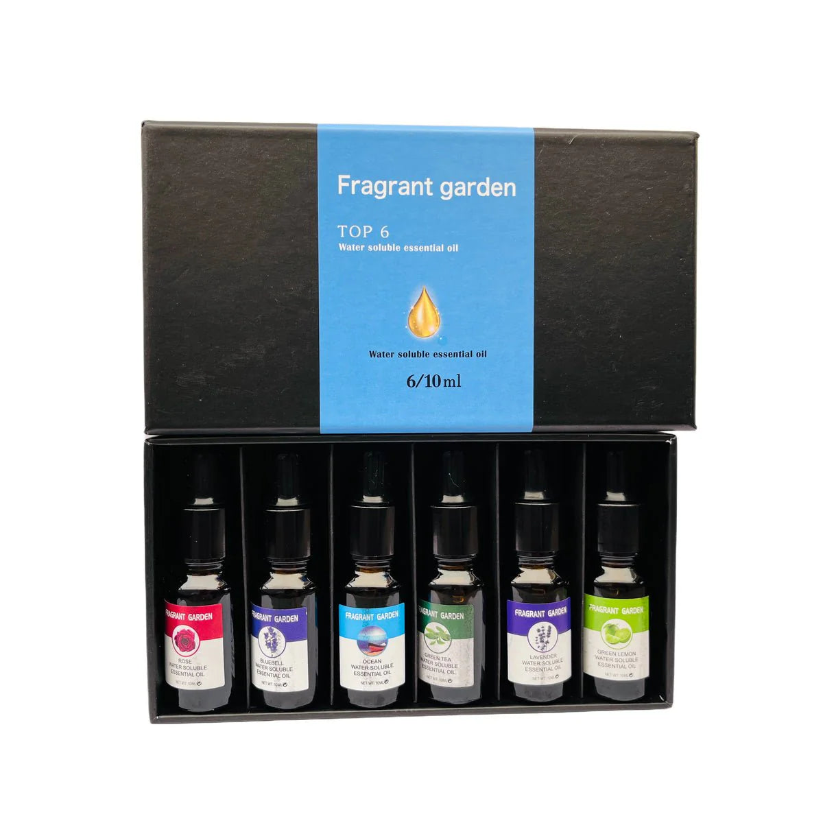 Fragrant Oil Perfume (Pack of 6)