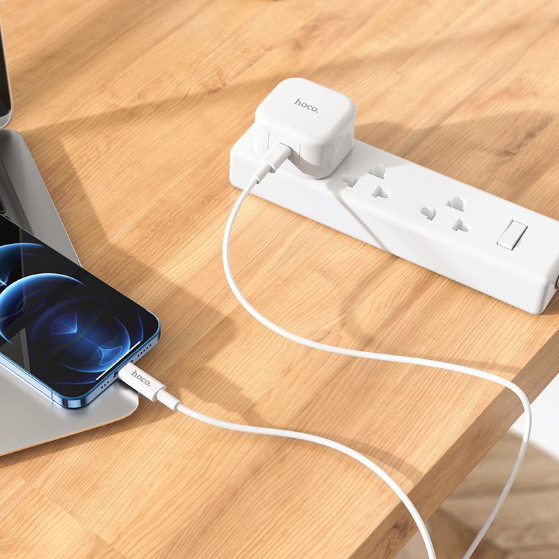 Hoco - Founder Single Port Charger (C91B)