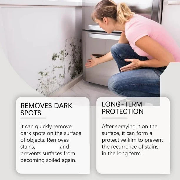 Jaysuin - Mould Removal Spray (Original)