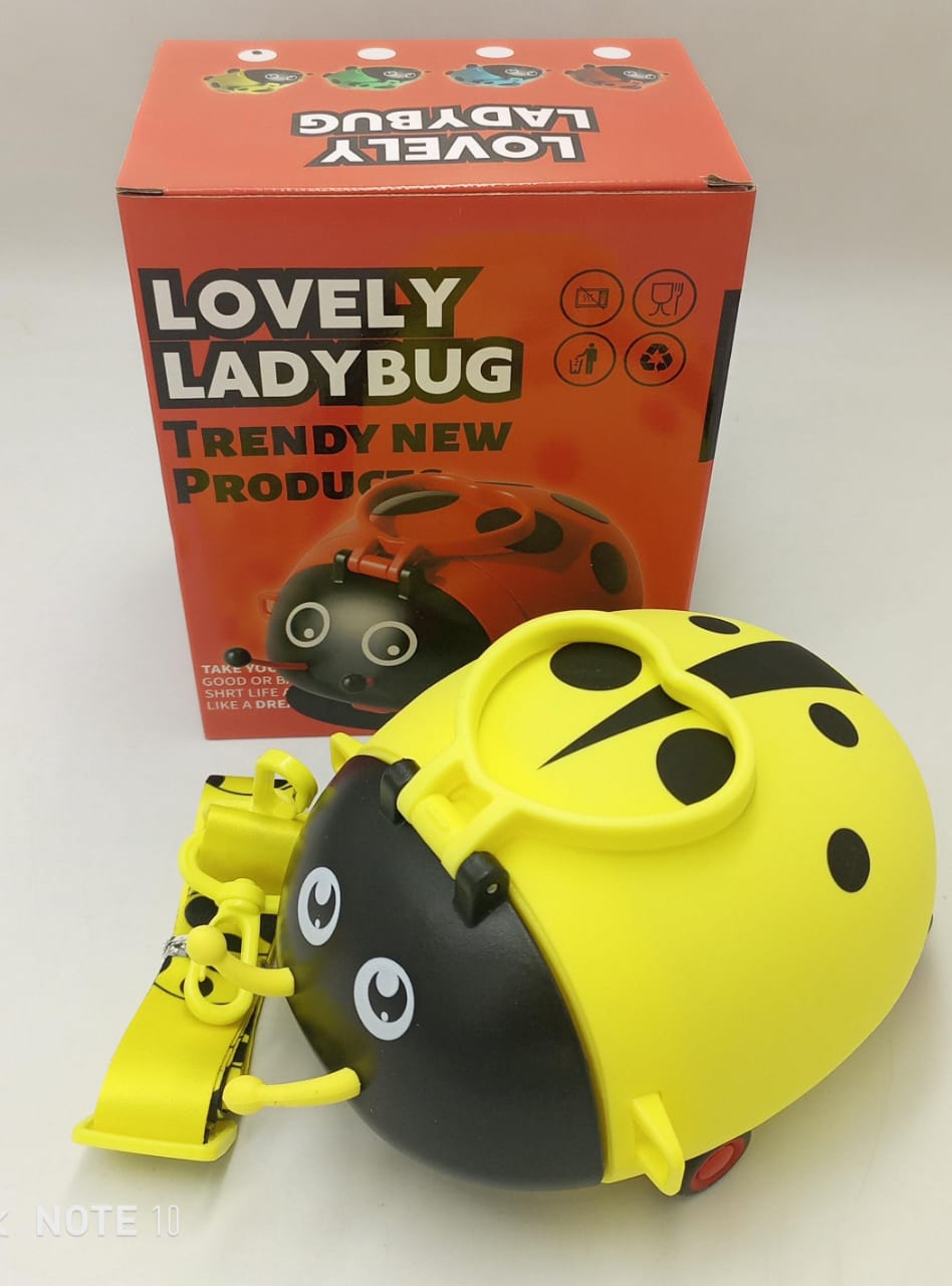 Ladybug Water Bottle