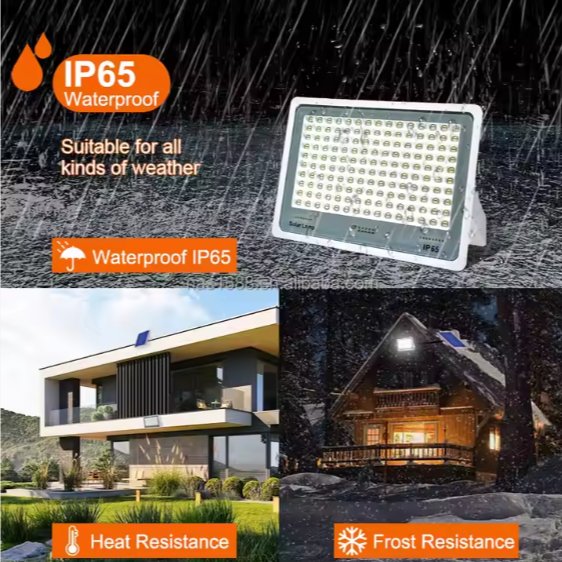 LED Outdoor Floodlight ©