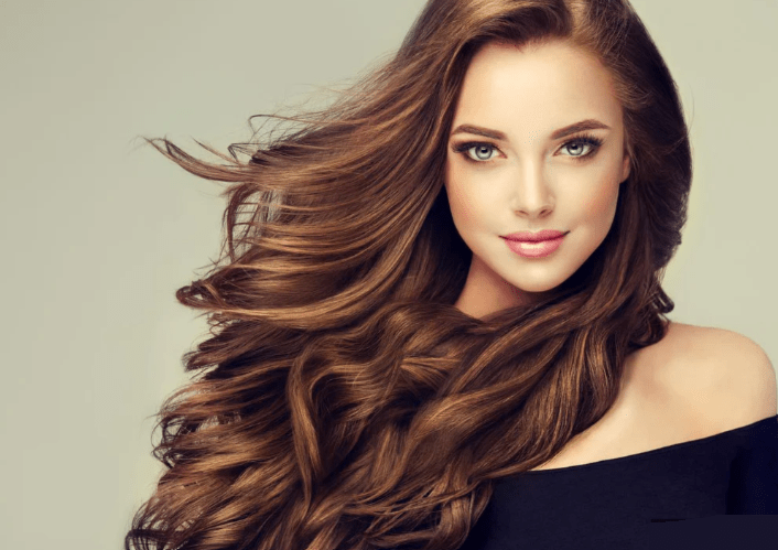 Olympia - Hair Dryer (OE- X9)