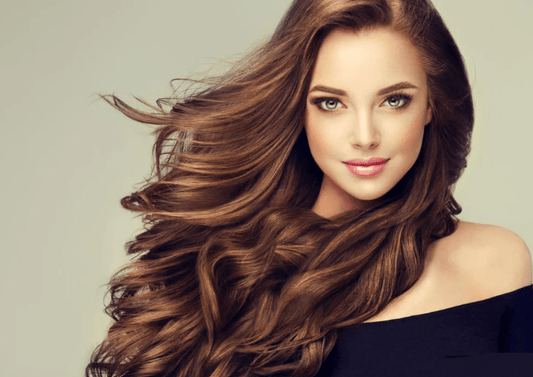 Olympia - Hair Dryer (OE- X9)