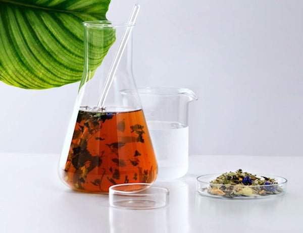 Phyto -  Volume Shampoo