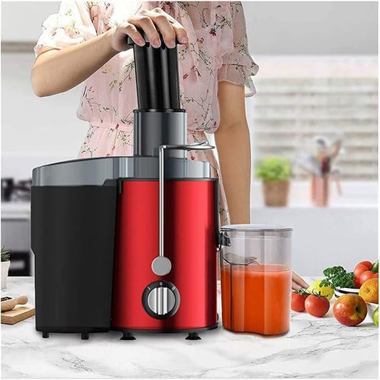 Stainless Steel Portable Fruit Juicers ©