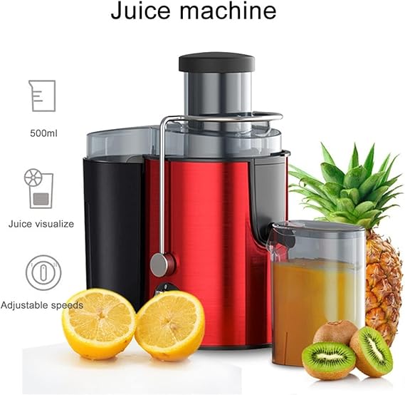 Stainless Steel Portable Fruit Juicers ©