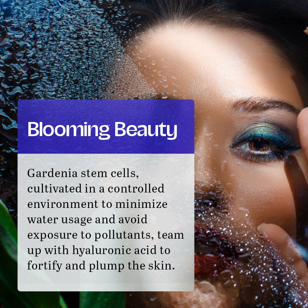 VA Almoes - Frankincense Face Serum (Original)