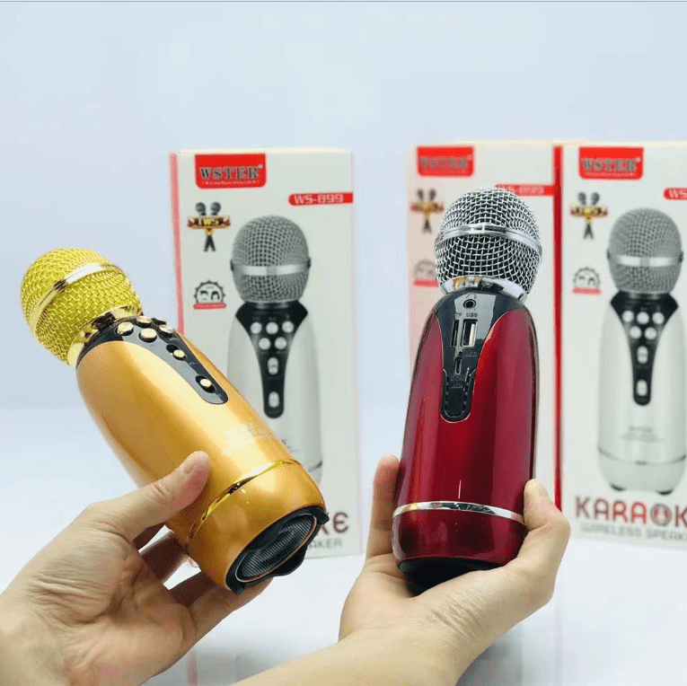 Wster - Karaoke Wireless Speaker